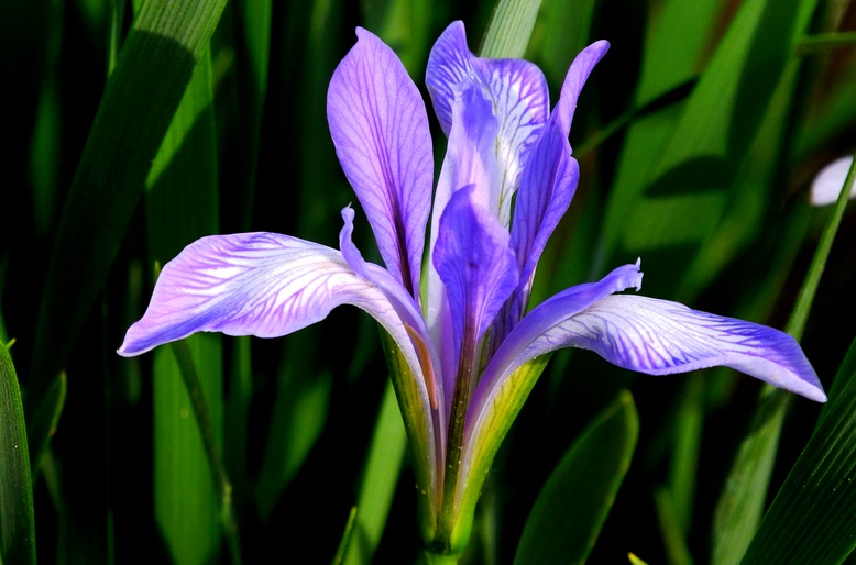 1629870412630792.jpg 馬蓮000000000000000000000000.jpg