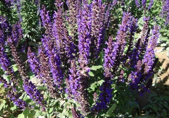 1629874331832161.jpg 16TFYFQ6T9`PF7A25UWJ2DY.jpg