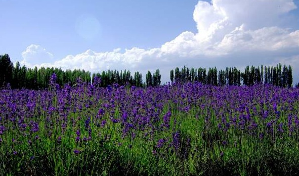 1629875884632410.jpg %5U8C5H)0O8)B1FL3W%UA28.jpg