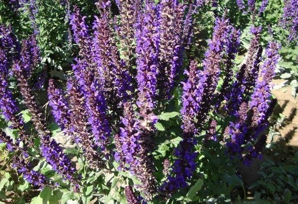 1629878067316154.jpg `551X5{L~F$}[M6H356[BQS.jpg