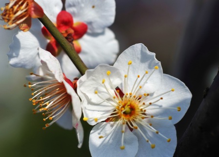 1629881122735923.jpg image.jpg