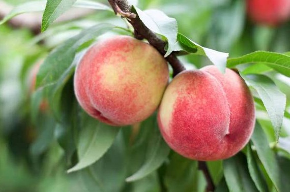 1629882683213455.jpg image.jpg