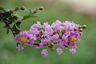 1629894388141879.jpg 1629894388141879.jpg