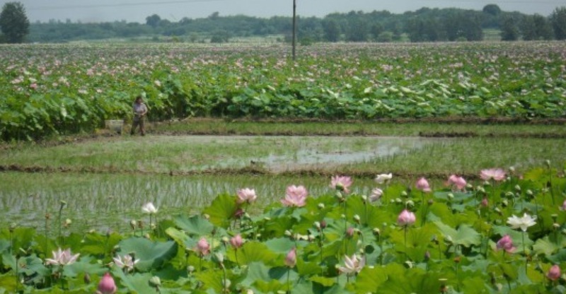 1629901595922822.jpg image.jpg