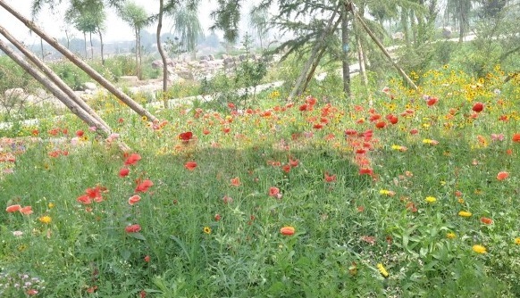 1629948903262362.jpg 3SVWI5_{X`~8IDDL@~CG6A3.jpg