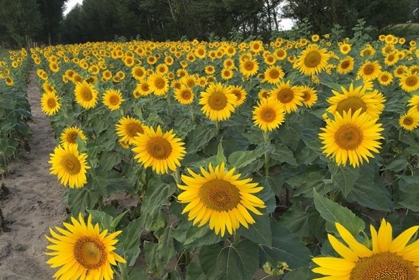 1629953019558667.jpg 6$}437ZMNVHIKKOAQ6GR$GP.jpg