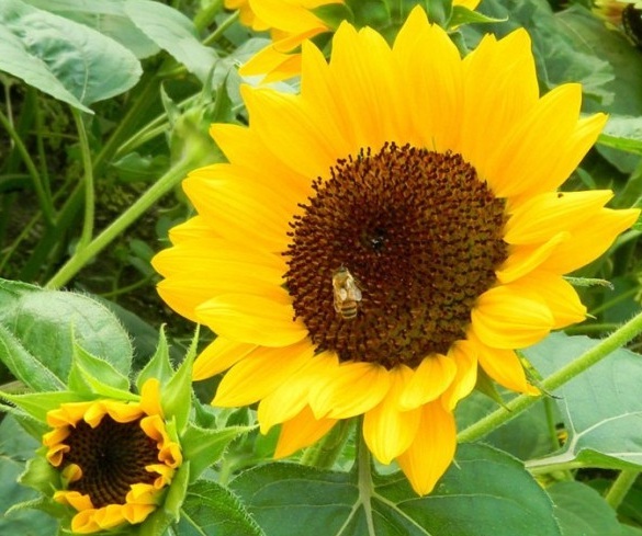 1629953030248905.jpg [CPW_ZLSP2SYHCV8_~)C3Q6.jpg