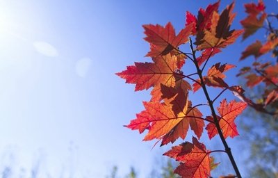 1629979327392768.jpg 1629979327392768.jpg