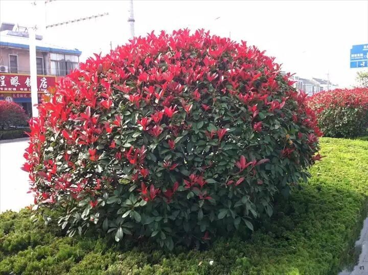 1630059222418588.jpg 1630059222418588.jpg