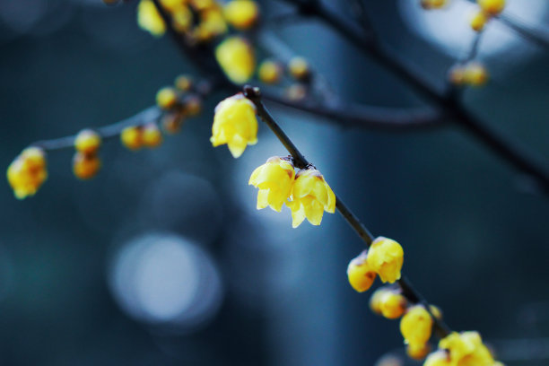 1630060186415562.jpg a57bf3f0bc029fc1695974b74b3f999c_t01c7922c5ce0aec23e.jpg