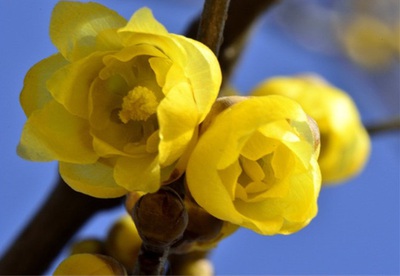 1630060197222751.jpg 1630060197222751.jpg