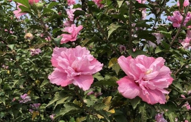 1630066681197379.jpg `$28PXHMG074OJG9TMH5DZU.jpg