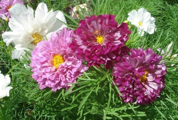 1630066944818969.jpg ~6LC9}W{3P(2B)HJX8U52)I.jpg