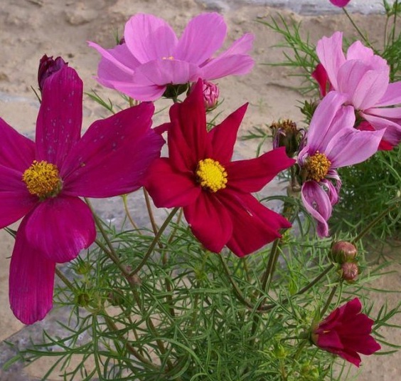 1630066989250050.jpg KKJ@IU_(_J8V%VC{7U8[18C.jpg