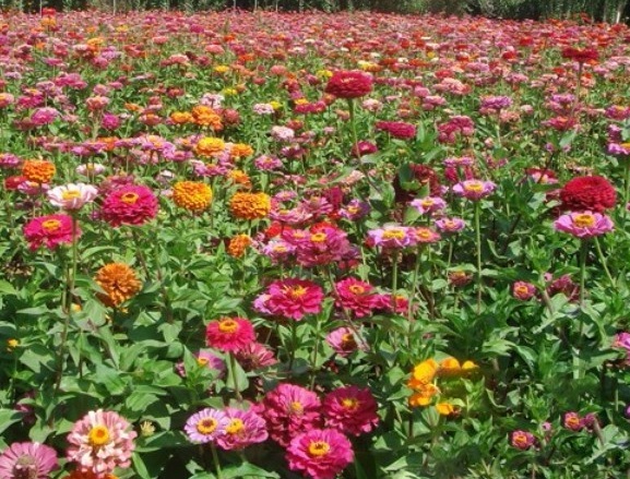 1630069422432616.jpg RKSP`XI1%_PC5M7W)7B{5ZN.jpg