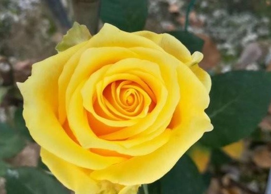 1630070106580646.jpg [P1~I4%9PPH@497GGOHEG$C.jpg