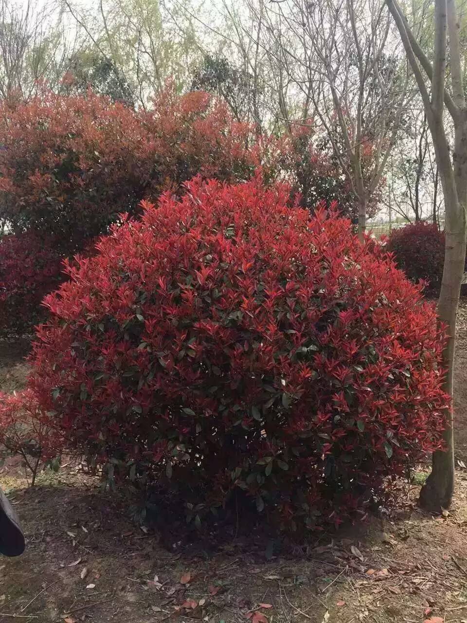 1630072714182215.jpg 1630072714182215.jpg