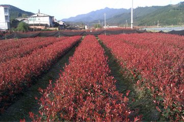 1630072714218953.jpg 1630072714218953.jpg