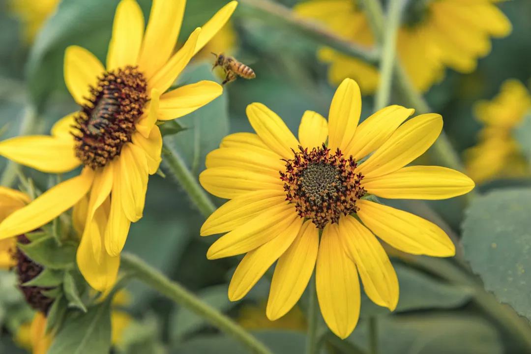 1589968775798554.jpg 微信圖片_20200520171811.jpg