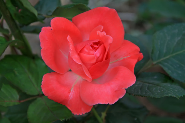 1630076760904074.jpg 1630076760904074.jpg