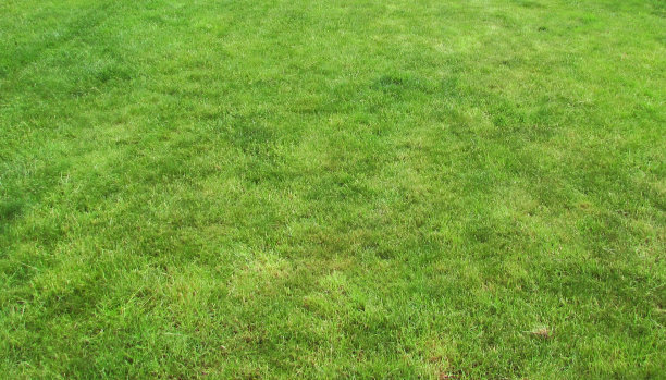 1630077936460522.jpg 1630077936460522.jpg