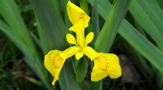 1630116195684124.jpg image.jpg