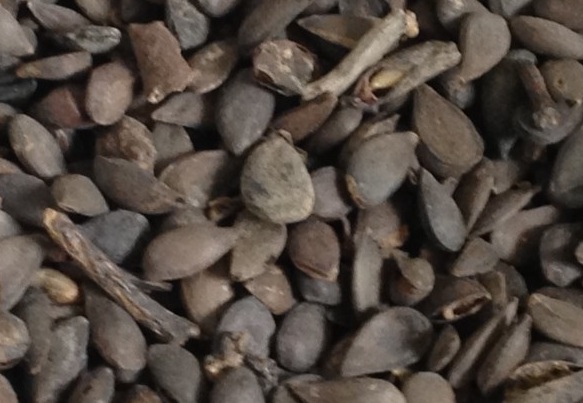 1630117493485832.jpg image.jpg