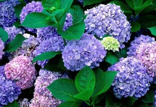 1630117918792336.jpg image.jpg