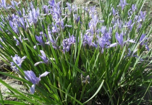 1630122930957143.jpg image.jpg