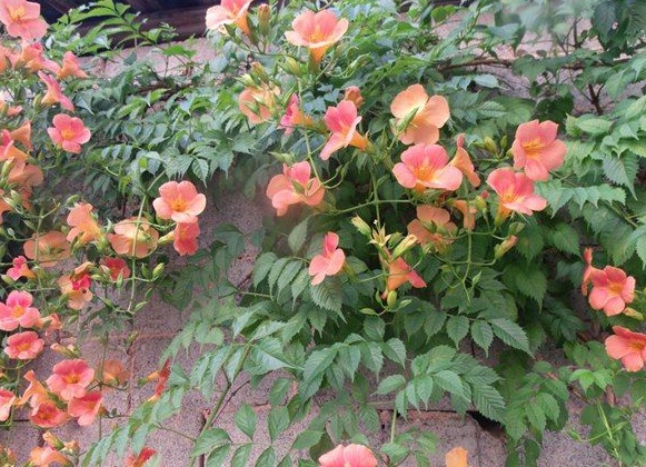 1630124440695528.jpg image.jpg