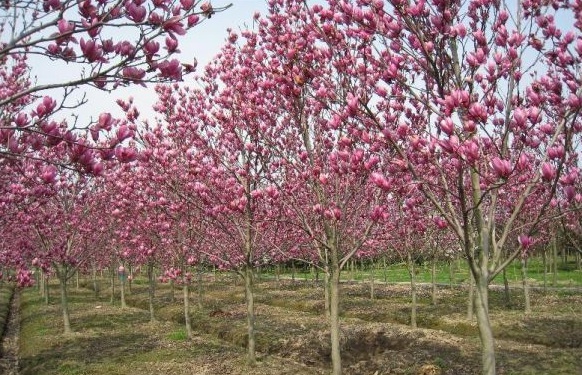 1630124708781368.jpg image.jpg