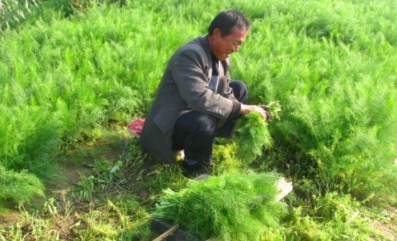 1630133520128560.jpg GACV4GMU{WKG3M3HNU$FR3W.jpg