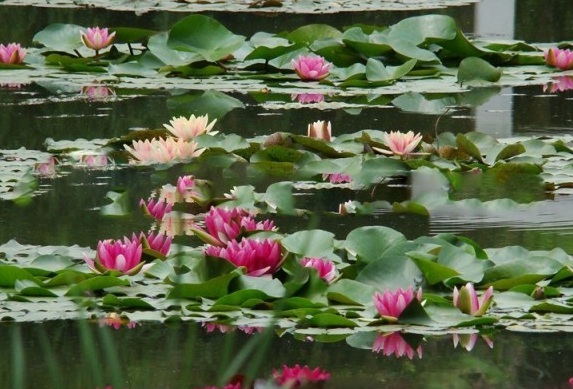 1630134538495155.jpg 0TM6IM{_@)SF)}8QA1[D%T3.jpg