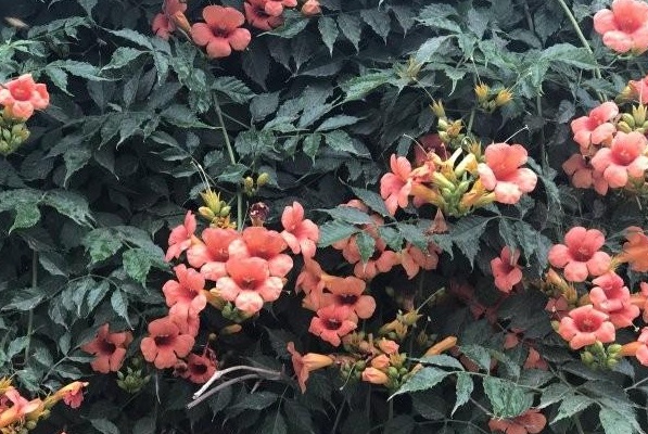 1630135108250998.jpg N)704VNK0Y581S7KYPY65J8.jpg