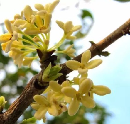 1630135988299287.jpg KZ}C8F([XC)YPDE{[7QW1GF.jpg