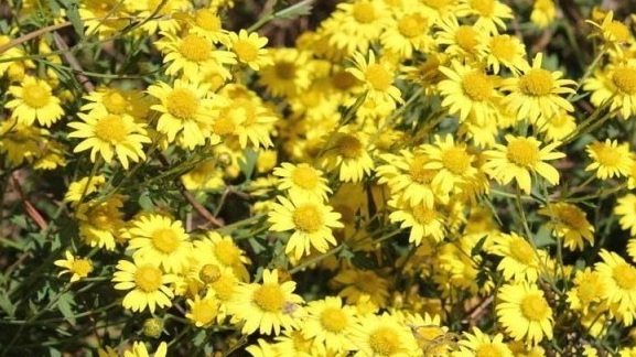 1630136301903170.jpg STT(~{W@TMHLHK%_U}F8{{5.jpg