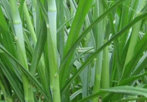 1630165714512851.jpg image.jpg