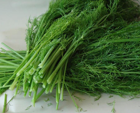 1630165827415527.jpg image.jpg