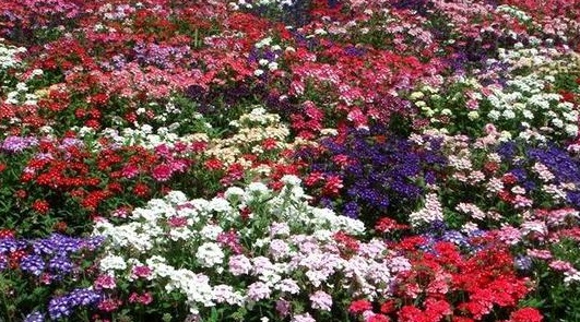 1630228171564038.jpg U3}6MIGPXAP7{V01LLZP8JC.jpg