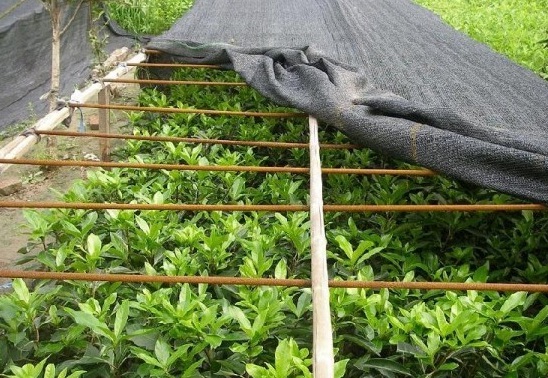 1630228285241247.jpg _Y[DE3VKY_GN0U_$3KUMWXJ.jpg