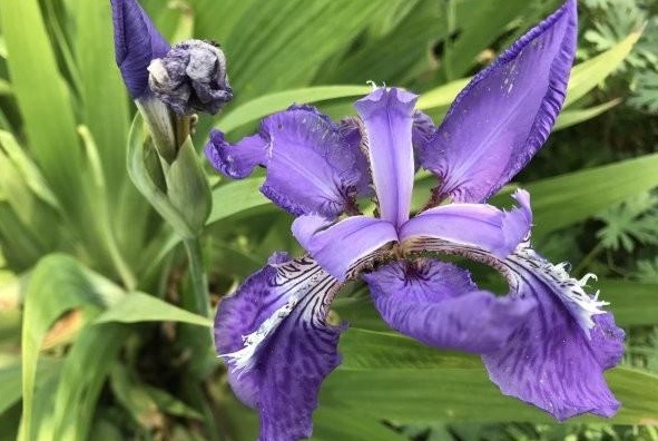 1630232031454459.jpg 1630232031454459.jpg