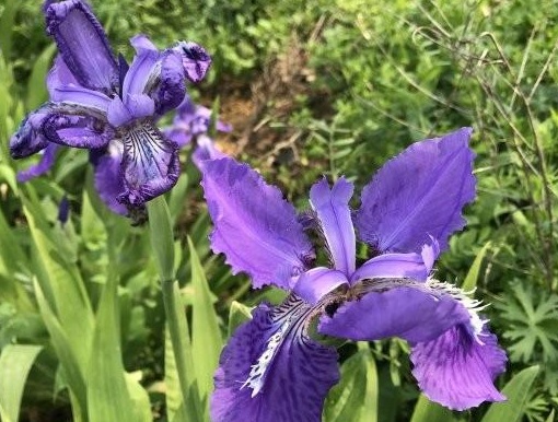 1630232040959254.jpg 1630232040959254.jpg