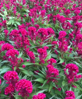 1630232220639740.jpg A4%AZ8XFLDX`~OH(5[R0QJ7.jpg