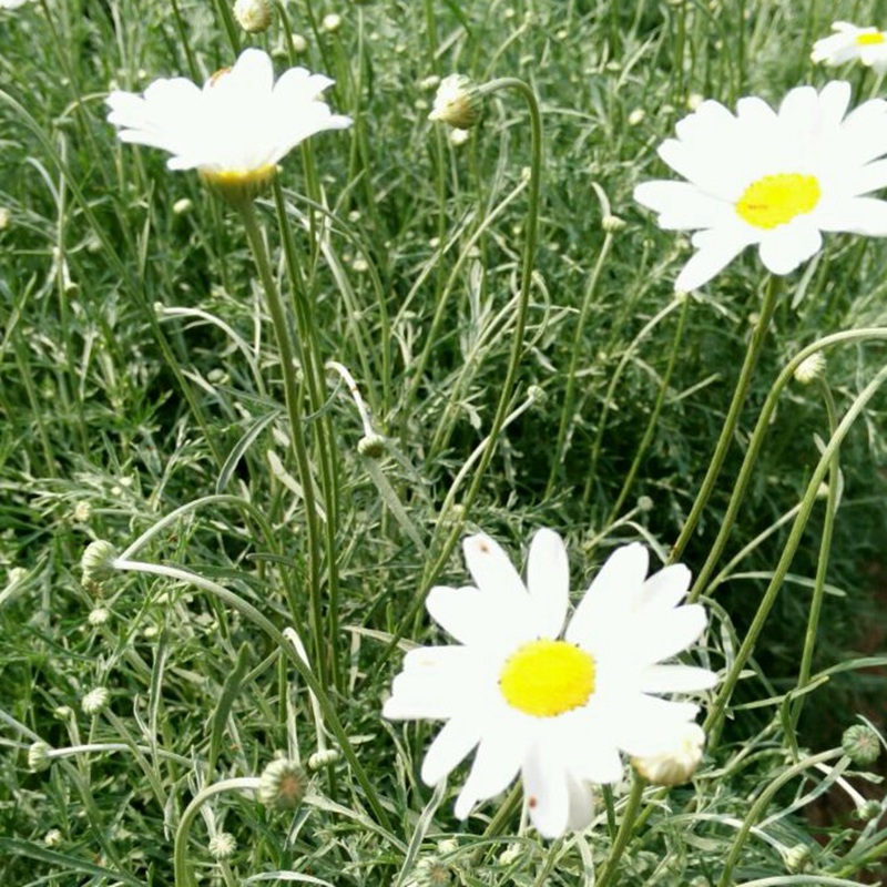 é?¤è??è?????????????????????§??¤??3¨????o?é?1