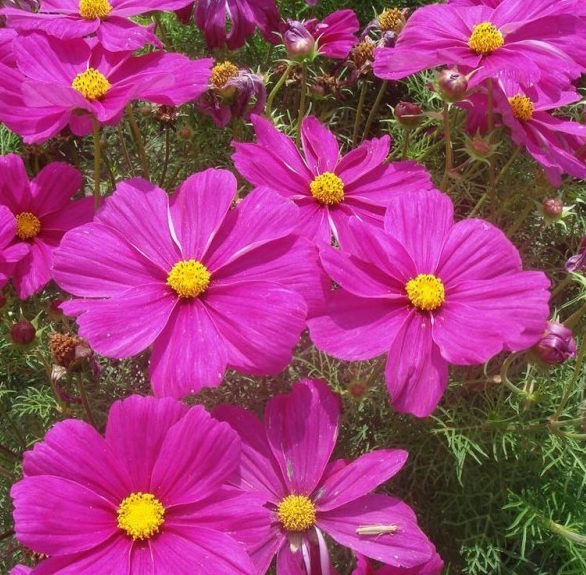 1630235910200804.jpg image.jpg