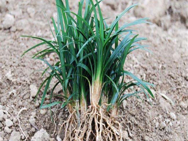 ??¥??????éo|??????é??è??