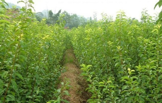 1630239296181355.jpg IBU)TI5OMBSWA3A8LDP}BLJ.jpg