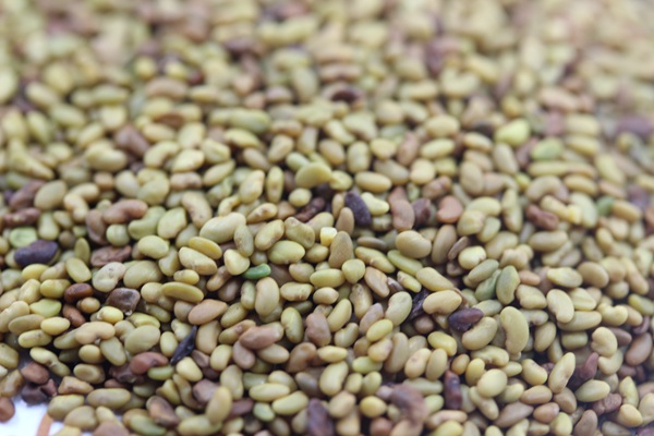 ?′?è?±è??è???§??-?