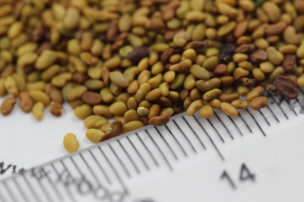 ?′?è?±è??è???§??-?