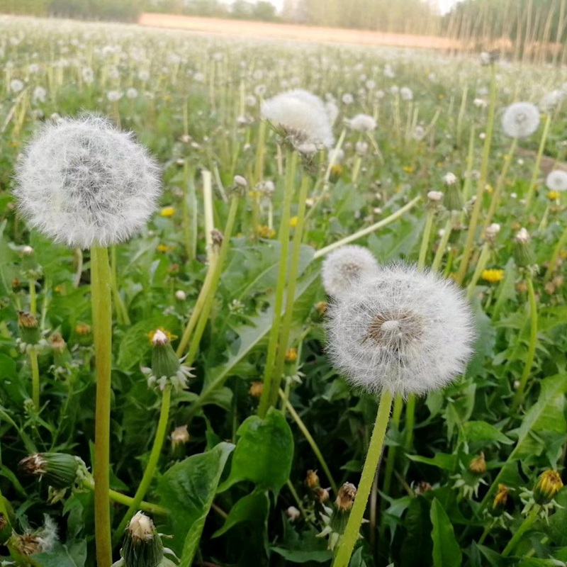 è?2???è?±?o??¤§?????????????¤§?|?????? ??￥é?????